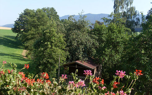 Bayerischer Wald